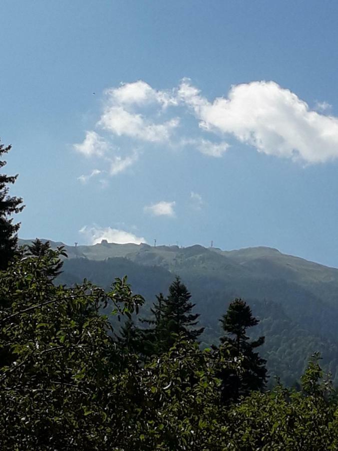 Lanobila Hotel Sinaia Buitenkant foto